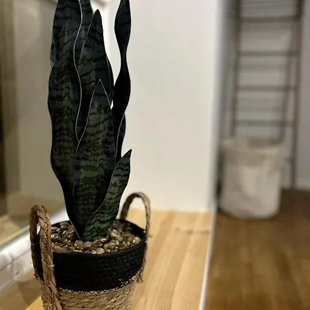 T2 Neuf Proche Gare Et Centre De Appartement